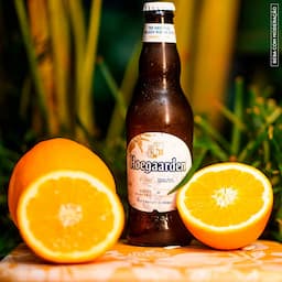 cerveja-de-trigo-hoegaarden-330-ml-long-neck-2.jpg