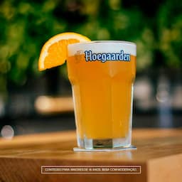 cerveja-de-trigo-hoegaarden-330-ml-long-neck-3.jpg