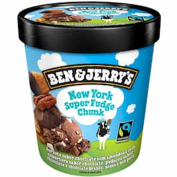 sorvete-de-pote-ben-&-jerrys-new-york-super-fudge-chunk-458-ml-1.jpg