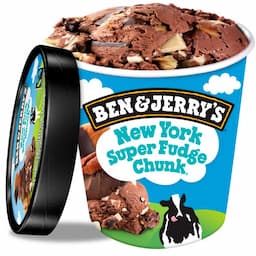 sorvete-de-pote-ben-&-jerrys-new-york-super-fudge-chunk-458-ml-2.jpg