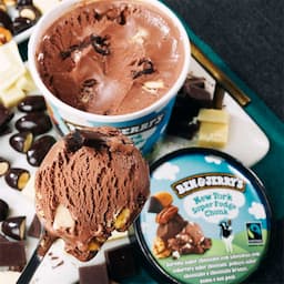 sorvete-de-pote-ben-&-jerrys-new-york-super-fudge-chunk-458-ml-5.jpg