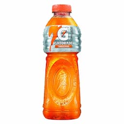 isotonico-gatorade-tangerina-garrafa-500ml-1.jpg