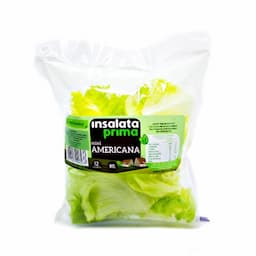 salada-mini-americana-verdureira-80g-1.jpg